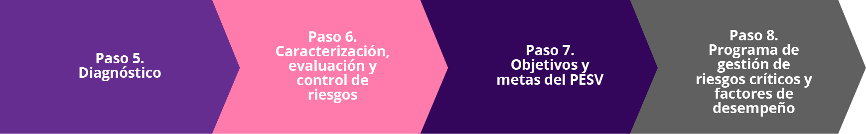 Pasos para la planificación del PESV